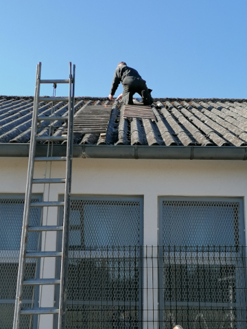 Bruno in action on the roof